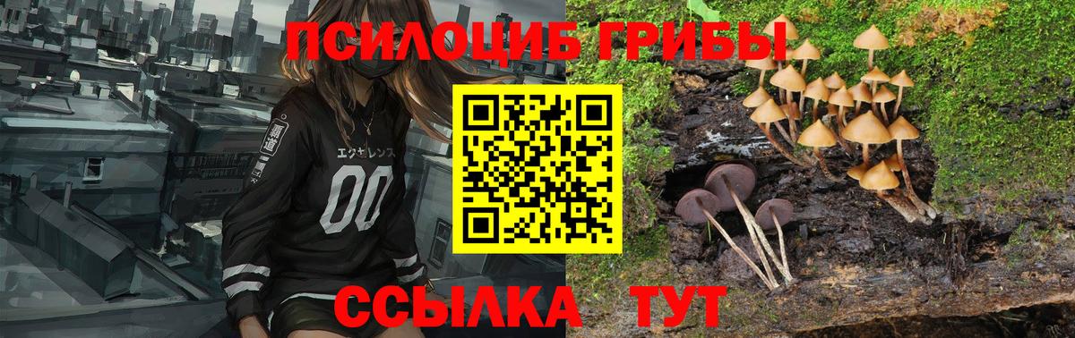 Галлюциногенные грибы Psilocybe  Галлюциногенные грибы мицелий  Лиски  Вход с VPN 
